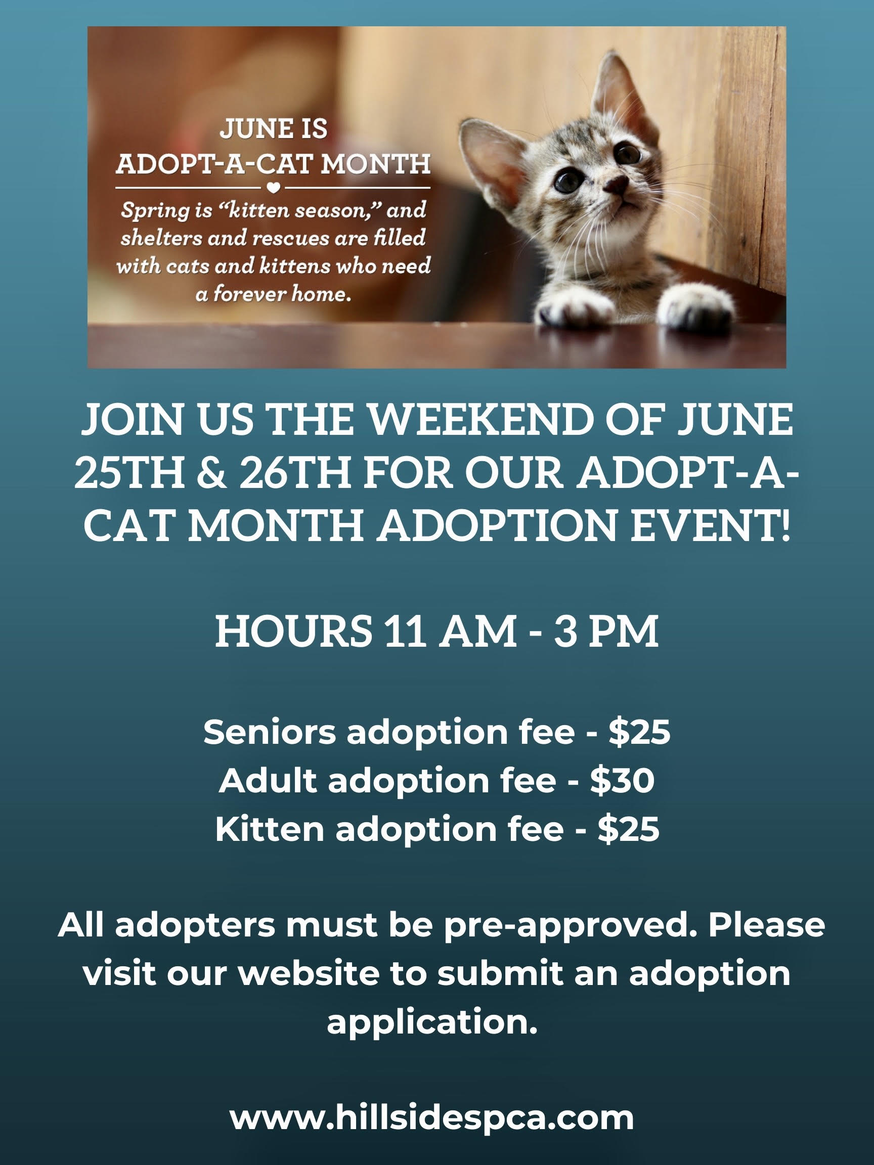 Cat Adoption Flyer Hillside SPCA, Inc.